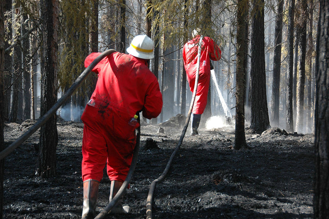Två brandmän som släcker en skogsbrand