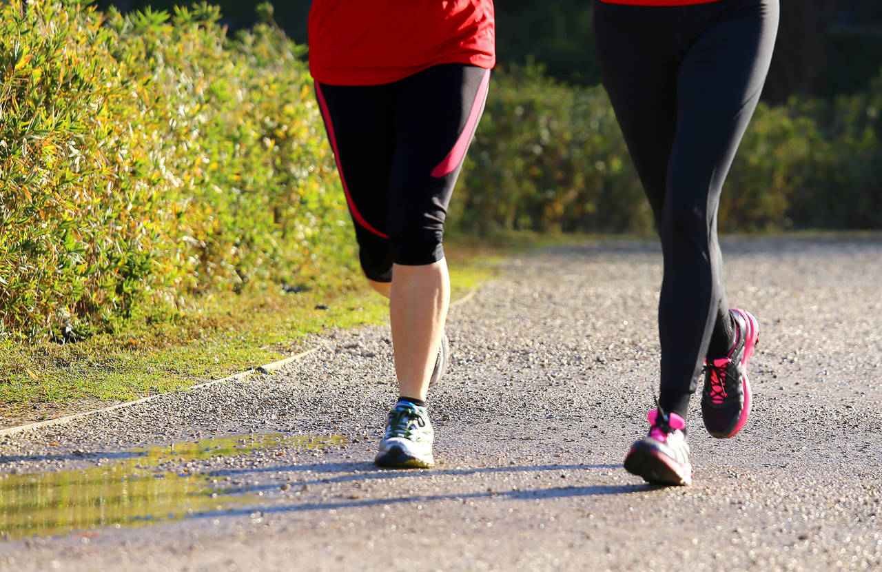 Kvinnor som är ute och joggar i solen. Bara benen syns på bilden.