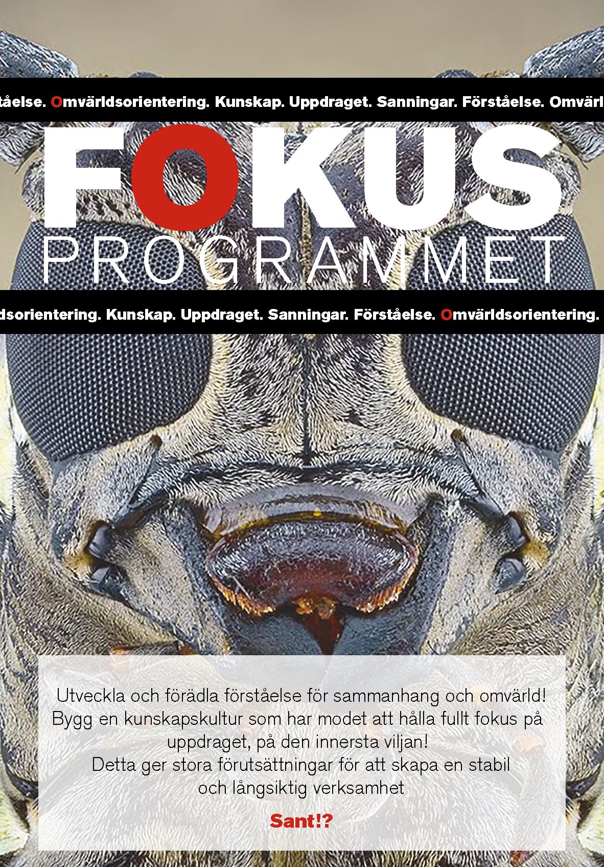 fokusprogrammet