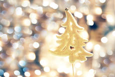 6665578-xmas-decoration.jpg
