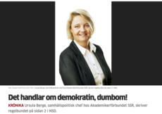 Skärmavbild 2019-10-30 kl. 10.47.48.png
