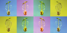 30943531-colorful-lightbulbs-in-rows-as-design-object-for-web.jpg