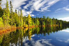 2369641-forest-reflecting-in-lake.jpg