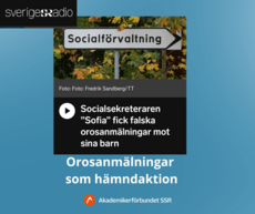 Kopia av socialsekreterare.png