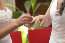12421654-two-brides-getting-married-exchange-rings.jpg