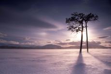 397914-snow.jpg