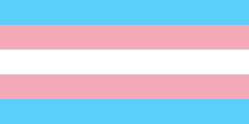 transgender_pride_flag.png