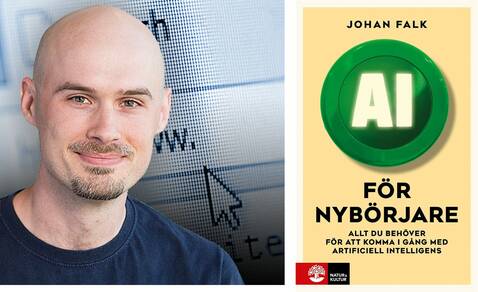 Johan Falk